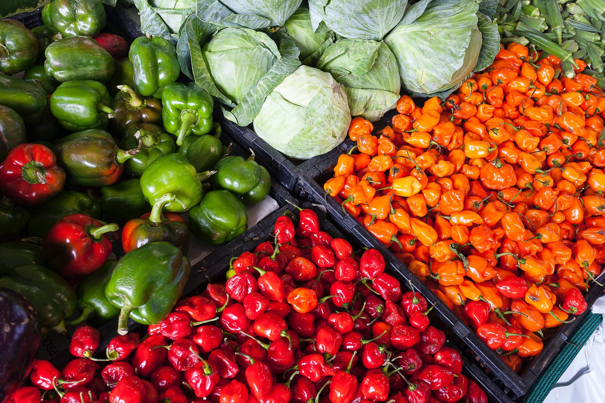 Fresh vegetables available at local market.