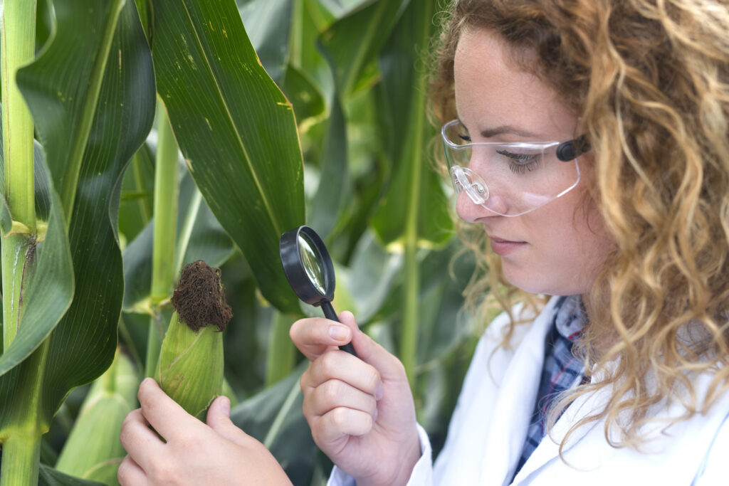 Pest control; - <a href="https://www.freepik.com/free-photo/agronomist-expert-examining-corn-leaf-looking-disease-indicator_11134012.htm#query=PEST%20CONTROL%20IN%20AGRICULTURAL%20CROPS&position=0&from_view=search&track=ais#position=0&query=PEST%20CONTROL%20IN%20AGRICULTURAL%20CROPS">Image by aleksandarlittlewolf</a> on Freepik