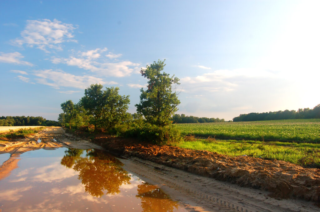 Season - <a href="https://www.freepik.com/free-photo/green-meadow-with-puddle_945931.htm#query=FARM%20RAIN&position=35&from_view=search&track=ais">Image by bedneyimages</a> on Freepik