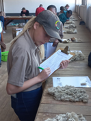 Chrizel Gildenhuys from Winburg, a Gr. 10 boarding student at Bultfontein High School won the wool clasification section.