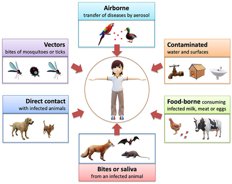 Zoonotic Diseases and Prevention