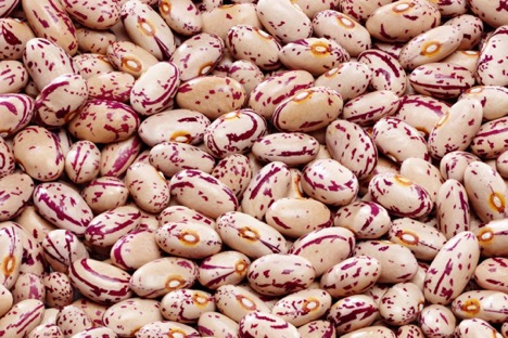 Dry Beans