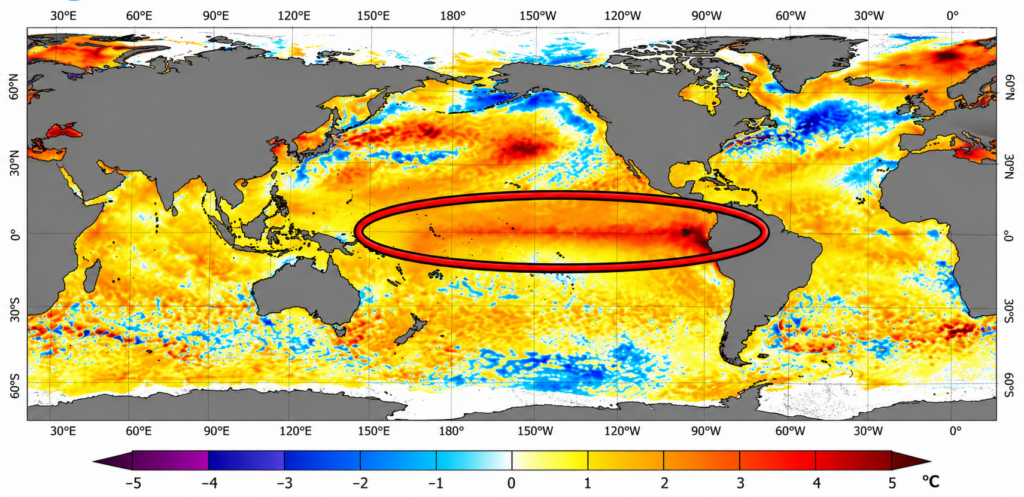 NOAA sea surface temperature anomaly map highlighting El Niño warming across the equatorial Pacific Ocean, illustrating the climate crossfire and potential drought and rainfall risks facing South African agriculture in 2027.
